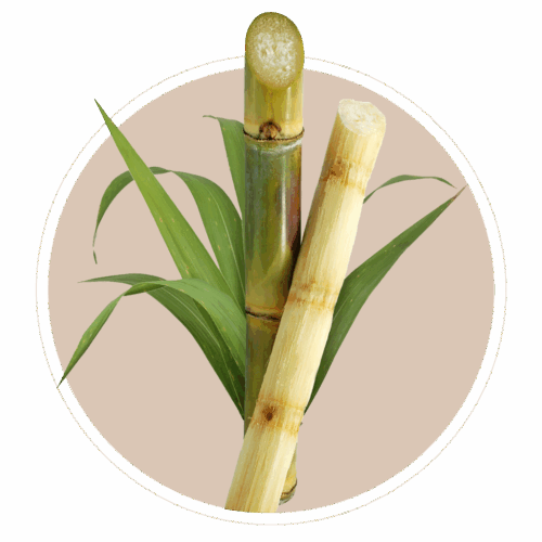 Sugarcane ingredients