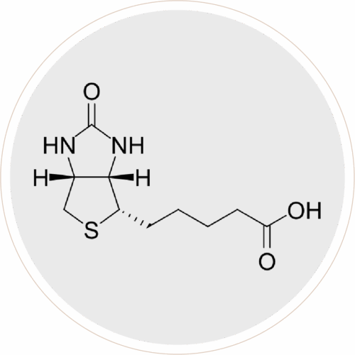 Biotin