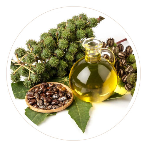 Castor Oil