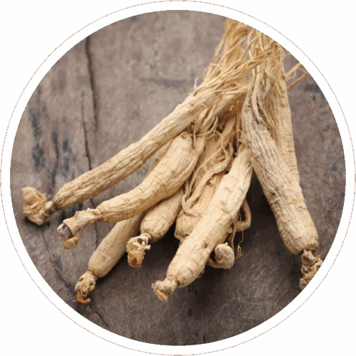 Ginseng