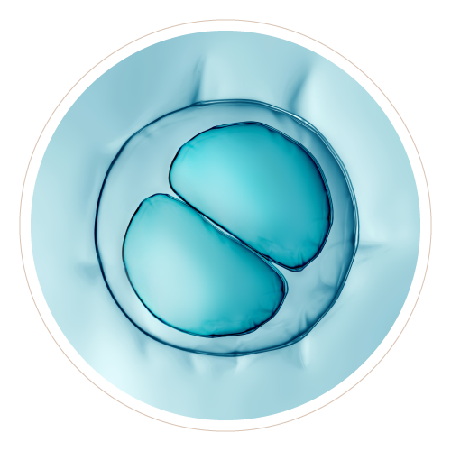 stemcell
