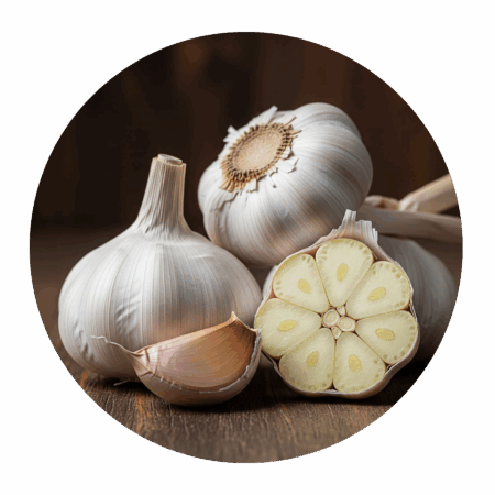 Garlic