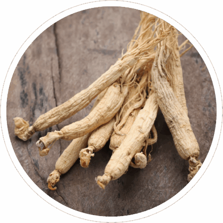 Ginseng