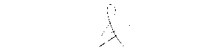 Maisa Al Khatib Signature